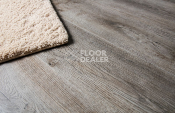 IVC Divino (DryBack, тиснение в регистр) IVC Divino 53967Q фото 4 | FLOORDEALER